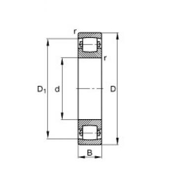 30 mm x 62 mm x 16 mm  FAG 20206-TVP сферические роликоподшипники