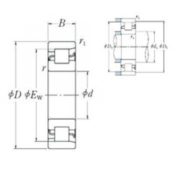 35 mm x 100 mm x 25 mm  NSK NF 407 цилиндрические роликоподшипники