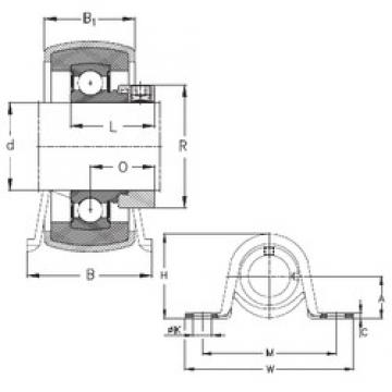 NKE RPB12 подшипниковые узлы