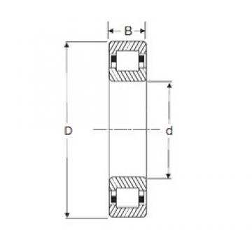 30 mm x 62 mm x 16 mm  SIGMA NUP 206 цилиндрические роликоподшипники