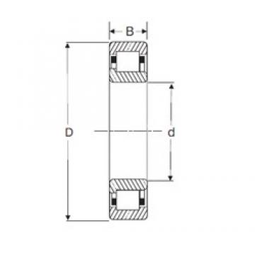 45 mm x 100 mm x 36 mm  SIGMA NJ 2309 цилиндрические роликоподшипники