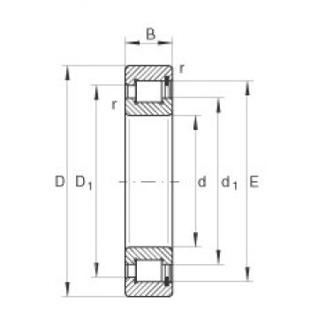 1000 mm x 1220 mm x 100 mm  INA SL1818/1000-E-TB цилиндрические роликоподшипники