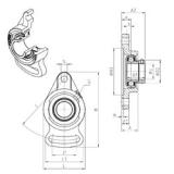 SNR ESFAE206 подшипниковые узлы