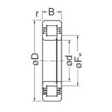 55 mm x 120 mm x 29 mm  NACHI NUP311EG цилиндрические роликоподшипники