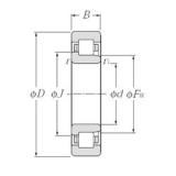 35 mm x 62 mm x 14 mm  NTN NJ1007 цилиндрические роликоподшипники