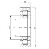 75 mm x 130 mm x 25 mm  ISO NUP215 цилиндрические роликоподшипники