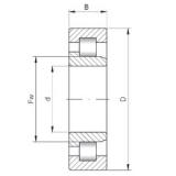 560 mm x 750 mm x 85 mm  ISO NJ19/560 цилиндрические роликоподшипники