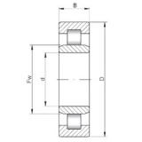 630 mm x 850 mm x 128 mm  ISO NU29/630 цилиндрические роликоподшипники