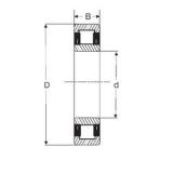 60 mm x 130 mm x 31 mm  SIGMA NU 312 цилиндрические роликоподшипники